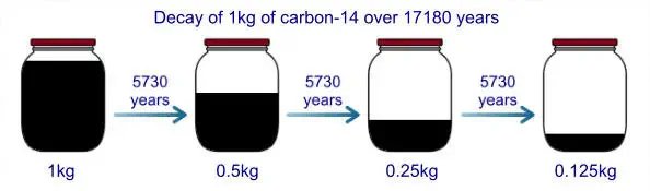 Decay of carbon